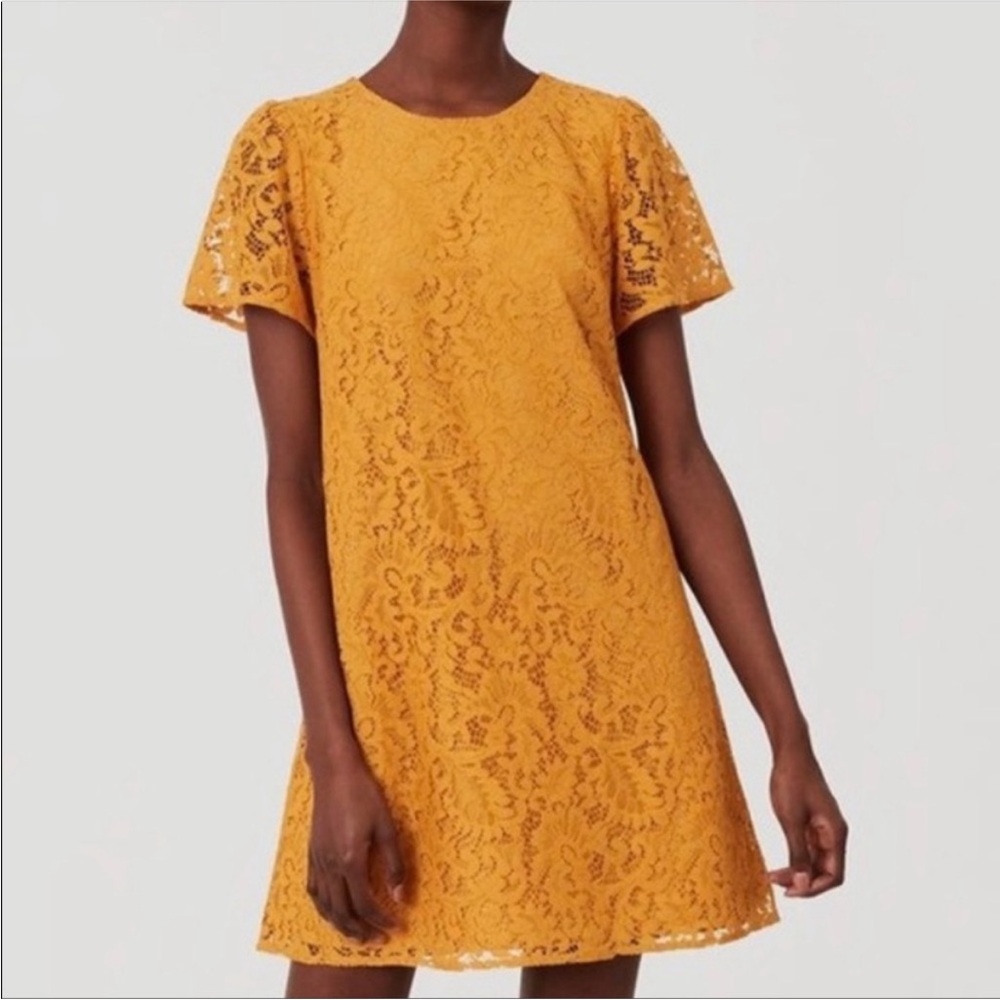 LOFT Lace‎ Shift Dress